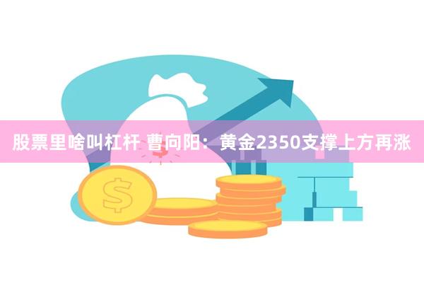 股票里啥叫杠杆 曹向阳：黄金2350支撑上方再涨