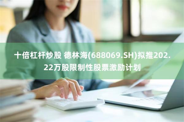 十倍杠杆炒股 德林海(688069.SH)拟推202.22万