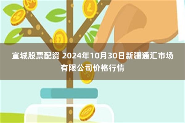 宣城股票配资 2024年10月30日新疆通汇市场有限公司