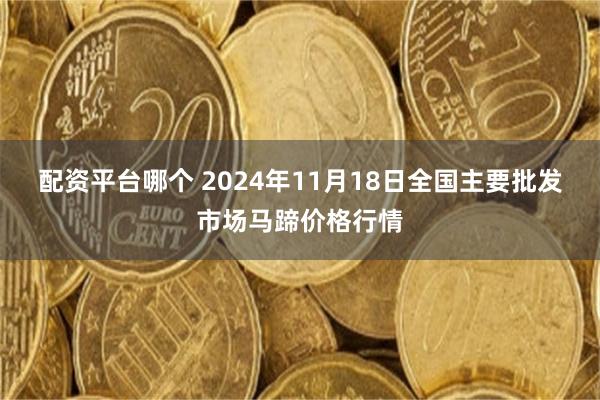 配资平台哪个 2024年11月18日全国主要批发市场马蹄价格行情