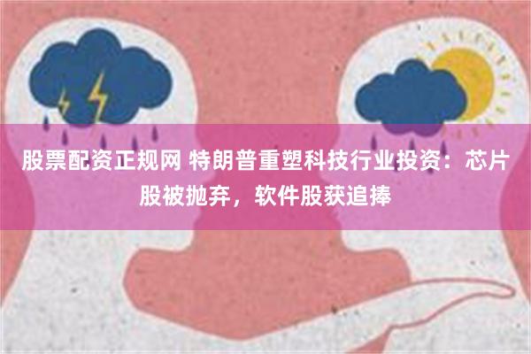 股票配资正规网 特朗普重塑科技行业投资：芯片股被抛弃，软件股