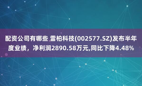 配资公司有哪些 雷柏科技(002577.SZ)发布半年度业绩，净利润2890.58万元,同比下降4.48%