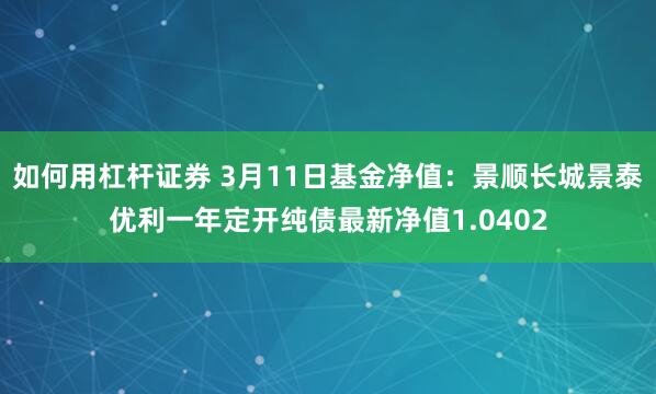 如何用杠杆证券 3月11日基金净值：景顺长城景泰优利一年定开纯债最新净值1.0402