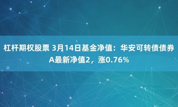 杠杆期权股票 3月14日基金净值：华安可转债债券A最新净值2，涨0.76%